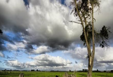 上海五星体育今天节目表有哪些精彩内容？